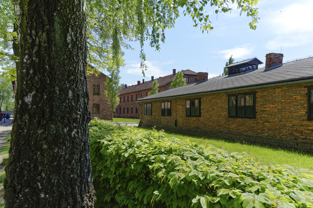 20160511 130203•Auschwitz Concentration Camp•Oswiecim•Lesser Poland•Poland